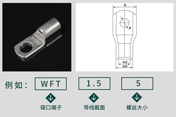 窺口接線端子.jpg